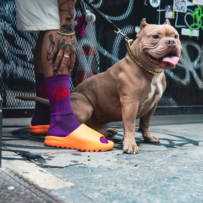 Classic Crew Socks - Purple